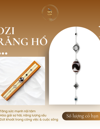 dzi-rang-ho-tay-tang-ket-hop-bac