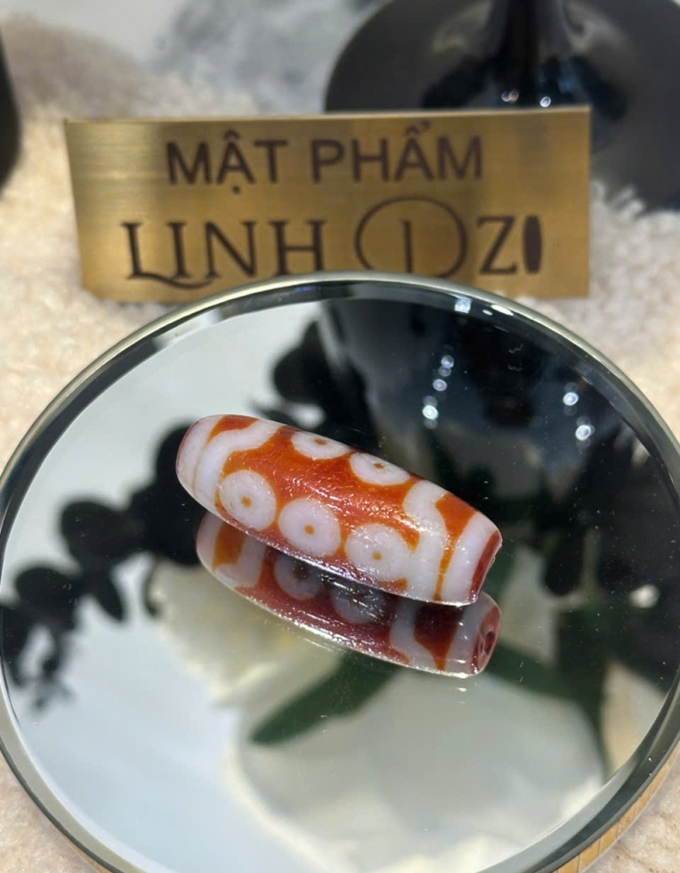 DZI 10 MẮT – TRÍ TUỆ MỞ RỘNG & PHẨM HẠNH VIÊN MÃN